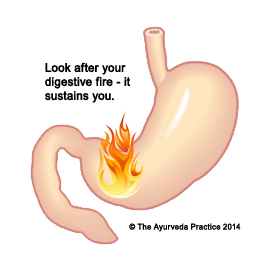 Look after your digestive fire