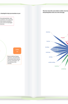 Shadow Archetype Report & 1 Hour Coaching Session