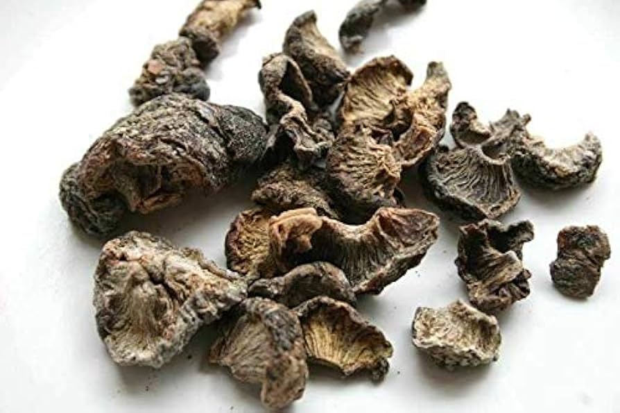 The Ayurveda Practice