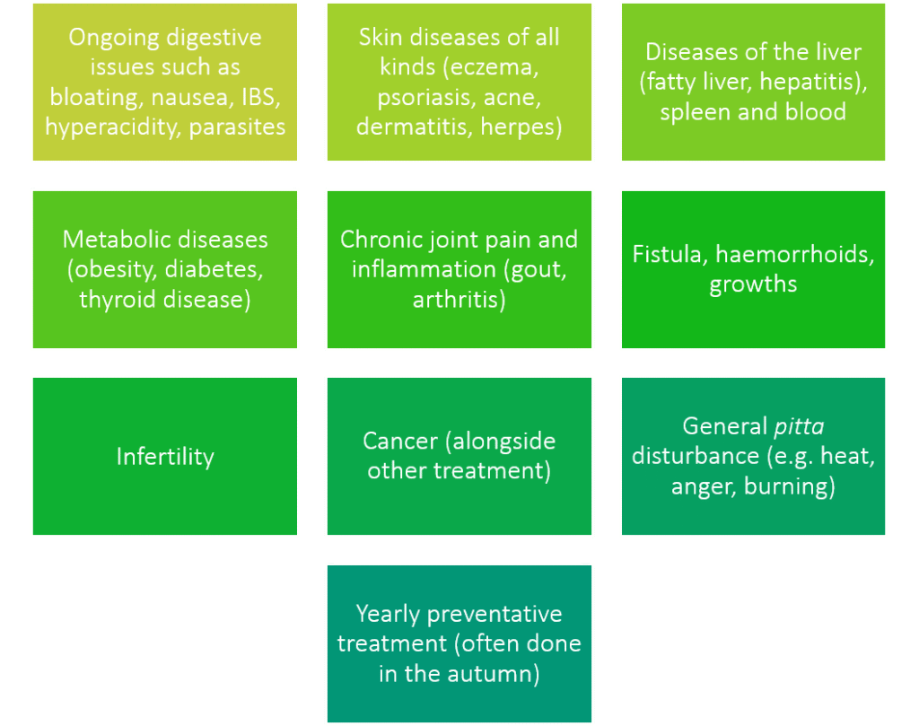 Ongoing digestive issues including bloating nausea IBS hyperacidity parasites skin conditions such as eczema psoriasis acne dermatitis herpes liver spleen and blood disorders metabolic issues including obesity diabetes thyroid disease chronic joint pain gout arthritis fistula haemorrhoids growths infertility cancer general pitta disturbance heat anger burning yearly preventative treatment